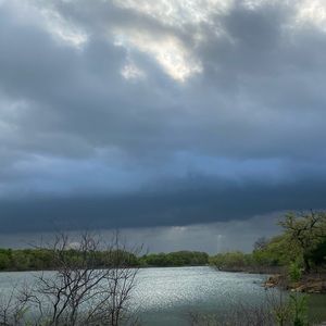 Meet your Posher, Leilani